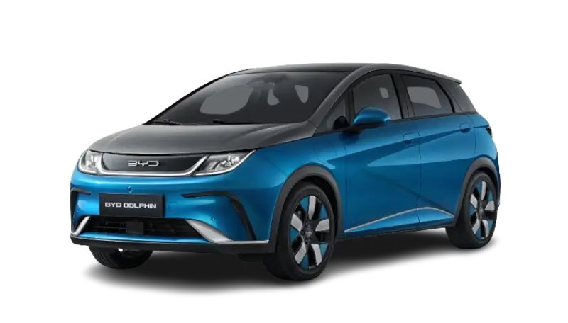 Dolphin Plus EV - Miniatura 2