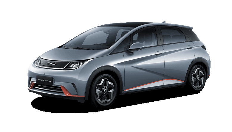 Dolphin GS - Miniatura 2