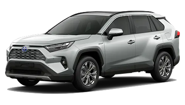 RAV4 SX Connect - Miniatura 2